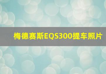 梅德赛斯EQS300提车照片