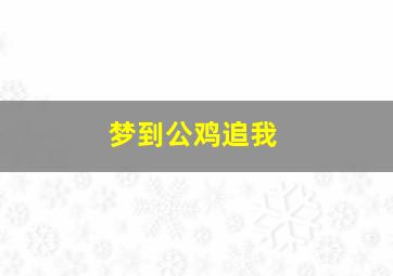 梦到公鸡追我