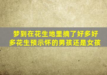 梦到在花生地里摘了好多好多花生预示怀的男孩还是女孩