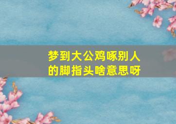 梦到大公鸡啄别人的脚指头啥意思呀