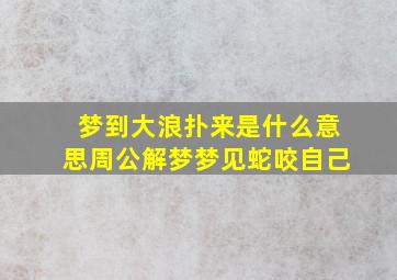 梦到大浪扑来是什么意思周公解梦梦见蛇咬自己