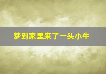 梦到家里来了一头小牛