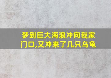 梦到巨大海浪冲向我家门口,又冲来了几只乌龟