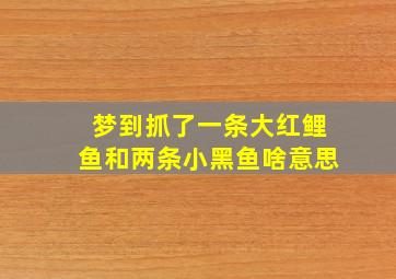 梦到抓了一条大红鲤鱼和两条小黑鱼啥意思