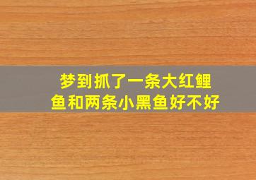 梦到抓了一条大红鲤鱼和两条小黑鱼好不好