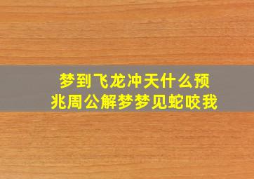 梦到飞龙冲天什么预兆周公解梦梦见蛇咬我