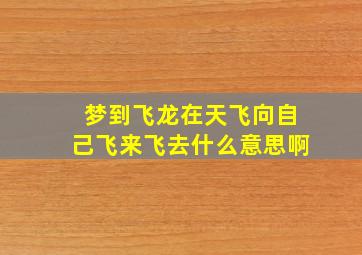 梦到飞龙在天飞向自己飞来飞去什么意思啊