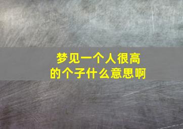 梦见一个人很高的个子什么意思啊