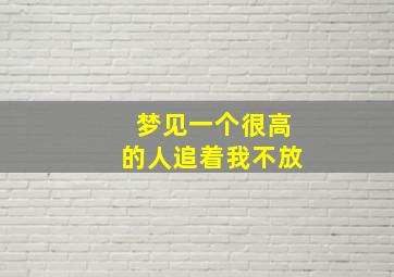 梦见一个很高的人追着我不放