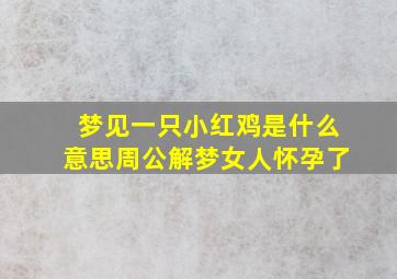 梦见一只小红鸡是什么意思周公解梦女人怀孕了