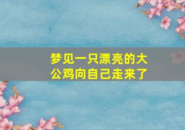 梦见一只漂亮的大公鸡向自己走来了