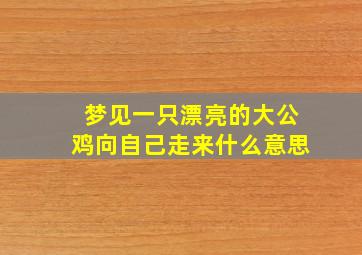 梦见一只漂亮的大公鸡向自己走来什么意思