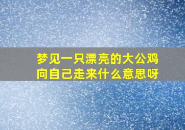 梦见一只漂亮的大公鸡向自己走来什么意思呀