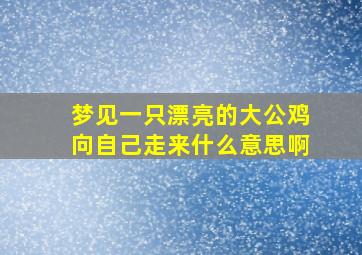 梦见一只漂亮的大公鸡向自己走来什么意思啊