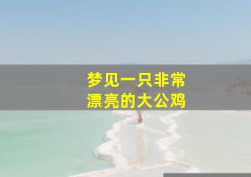 梦见一只非常漂亮的大公鸡