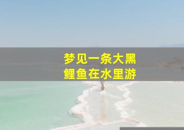 梦见一条大黑鲤鱼在水里游