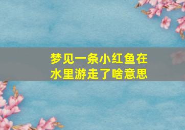 梦见一条小红鱼在水里游走了啥意思