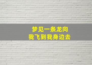 梦见一条龙向我飞到我身边去