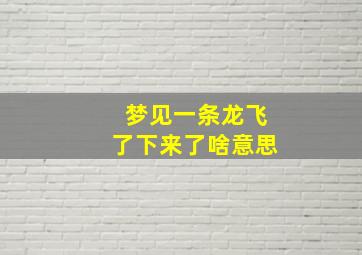 梦见一条龙飞了下来了啥意思