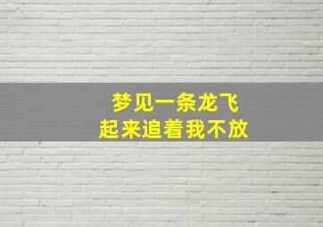 梦见一条龙飞起来追着我不放