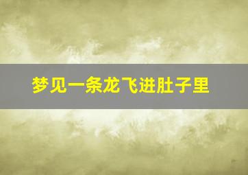 梦见一条龙飞进肚子里