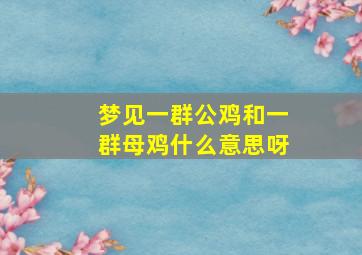 梦见一群公鸡和一群母鸡什么意思呀