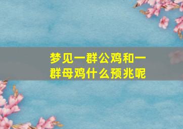 梦见一群公鸡和一群母鸡什么预兆呢