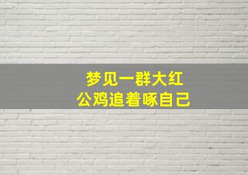 梦见一群大红公鸡追着啄自己