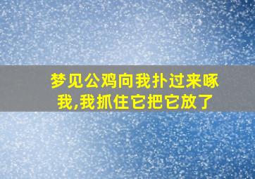 梦见公鸡向我扑过来啄我,我抓住它把它放了