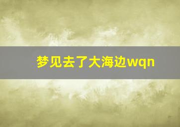 梦见去了大海边wqn