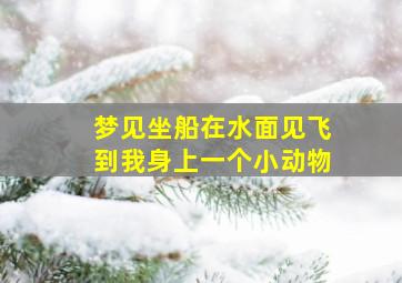 梦见坐船在水面见飞到我身上一个小动物