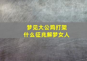 梦见大公鸡打架什么征兆解梦女人