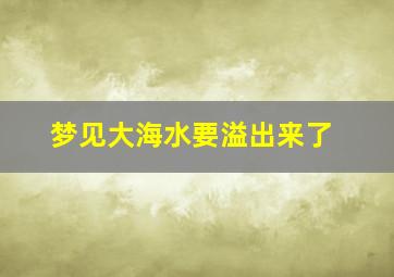 梦见大海水要溢出来了