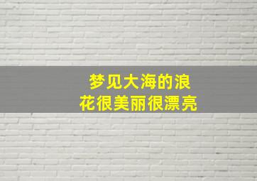 梦见大海的浪花很美丽很漂亮