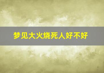 梦见大火烧死人好不好