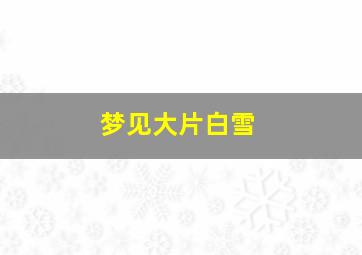 梦见大片白雪