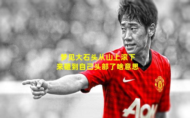梦见大石头从山上滚下来砸到自己头部了啥意思