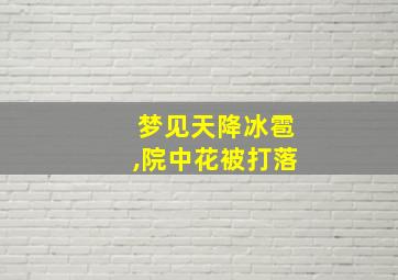 梦见天降冰雹,院中花被打落