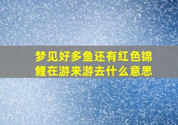 梦见好多鱼还有红色锦鲤在游来游去什么意思