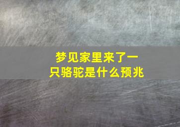 梦见家里来了一只骆驼是什么预兆