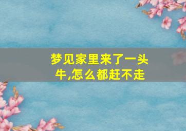 梦见家里来了一头牛,怎么都赶不走