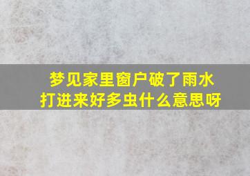 梦见家里窗户破了雨水打进来好多虫什么意思呀