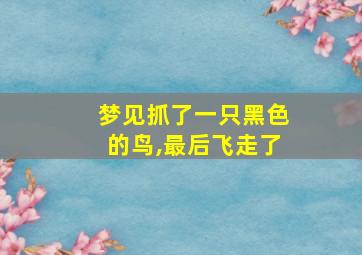 梦见抓了一只黑色的鸟,最后飞走了