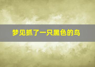 梦见抓了一只黑色的鸟