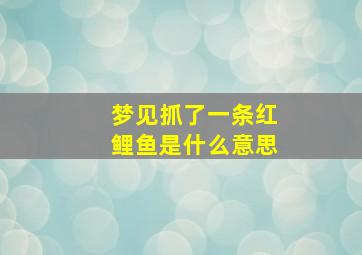 梦见抓了一条红鲤鱼是什么意思