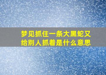 梦见抓住一条大黑蛇又给别人抓着是什么意思