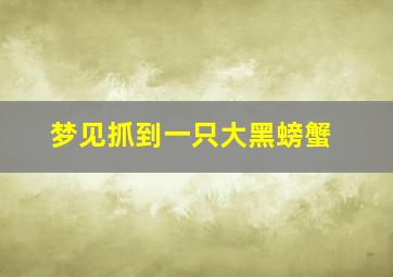 梦见抓到一只大黑螃蟹