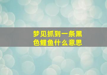 梦见抓到一条黑色鲤鱼什么意思