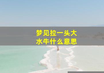 梦见拉一头大水牛什么意思