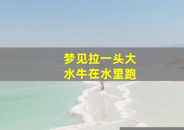 梦见拉一头大水牛在水里跑